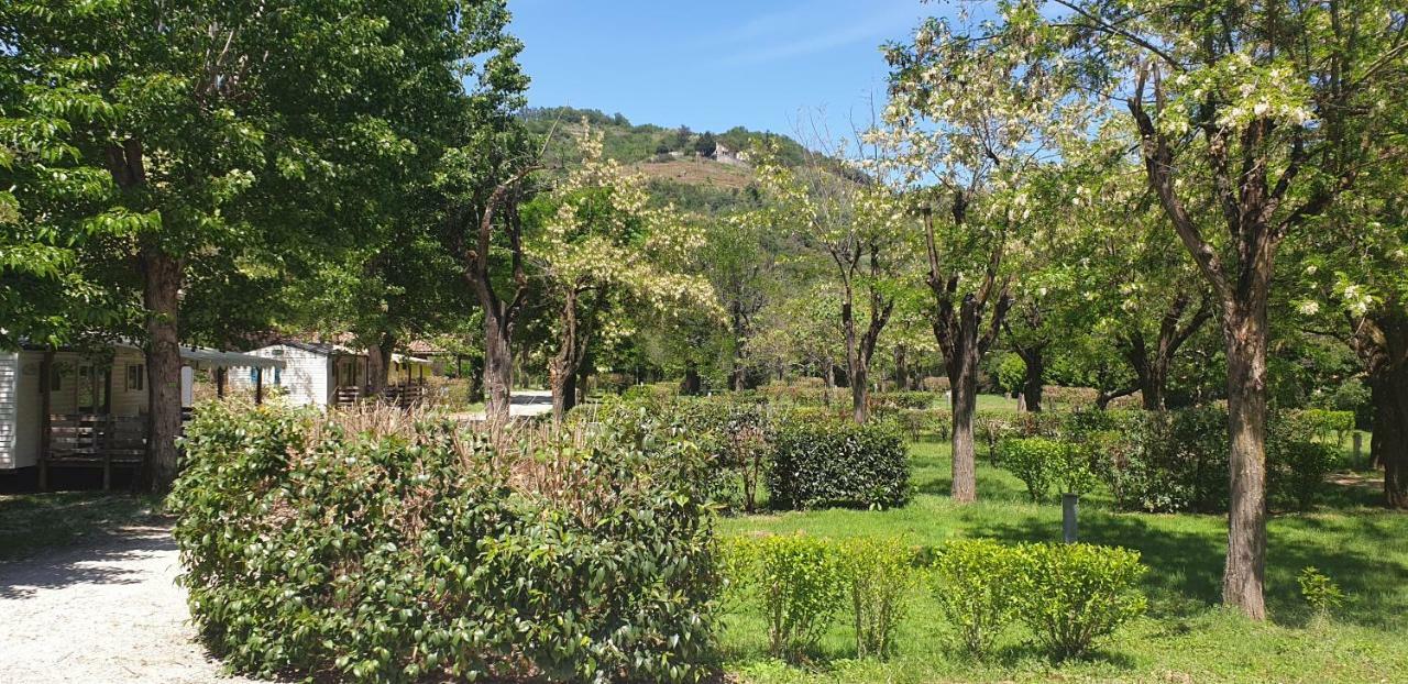 Camping Avec Piscine Et Riviere A Tournon Sur Rhone Ardeche Экстерьер фото