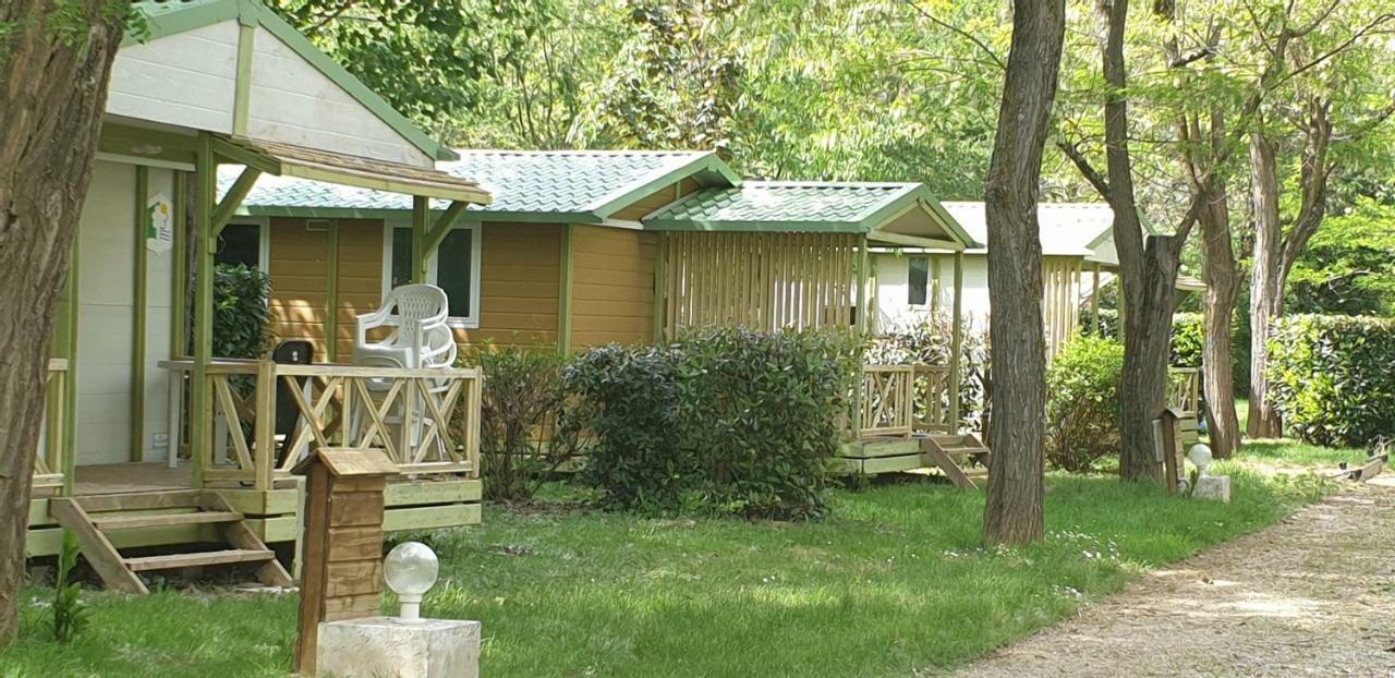 Camping Avec Piscine Et Riviere A Tournon Sur Rhone Ardeche Экстерьер фото